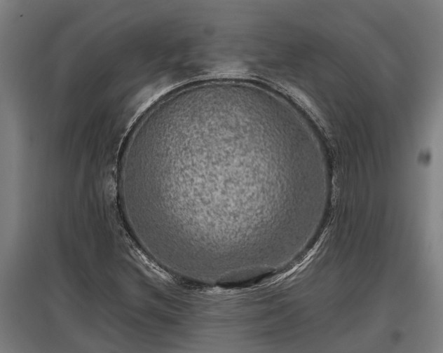X0000095941212200801181353