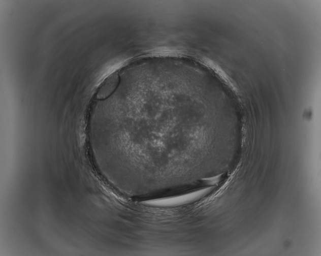 X0000095941213200801181353