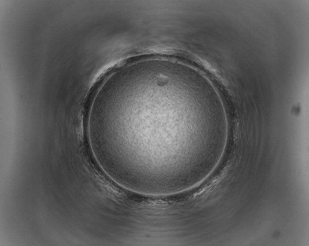 X0000095941214200801181353