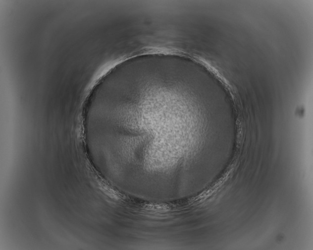 X0000095941215200801181353