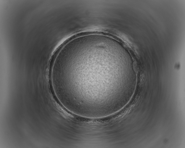 X0000095941216200801181353