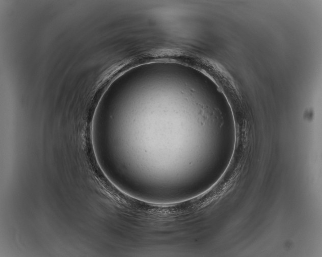 X0000095941217200801181353