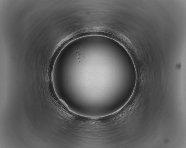 X0000095941218200801181353