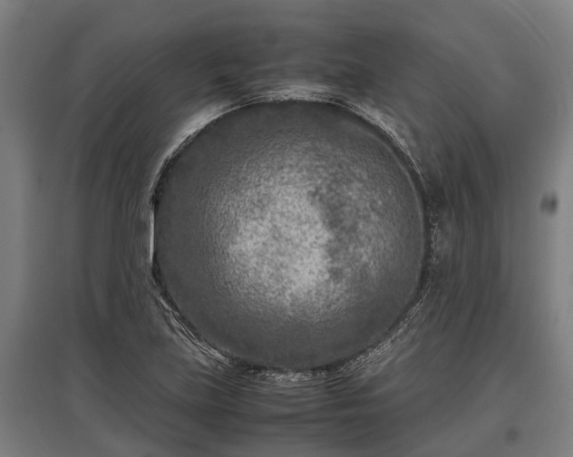 X0000095941219200801181353