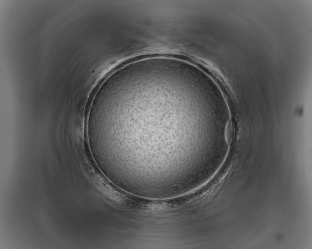 X0000095941220200801181353