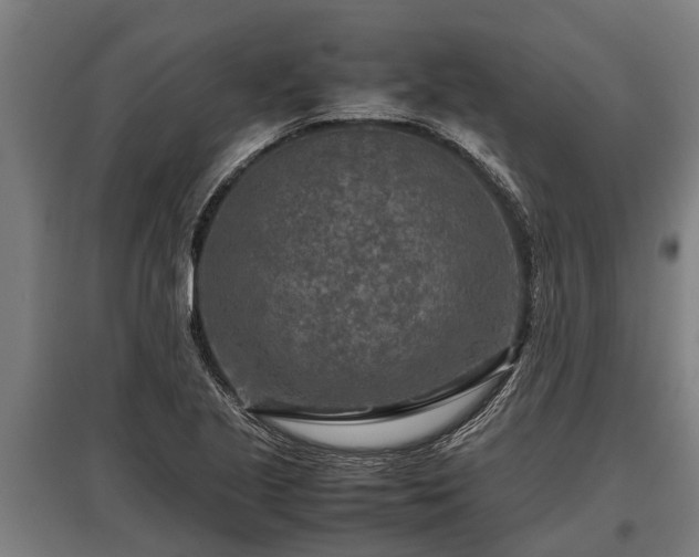 X0000095941221200801181353