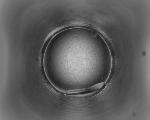 X0000095941222200801181353