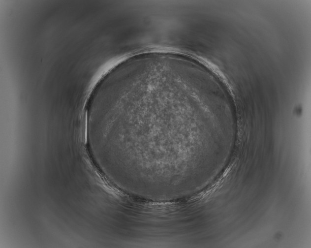 X0000095941223200801181353