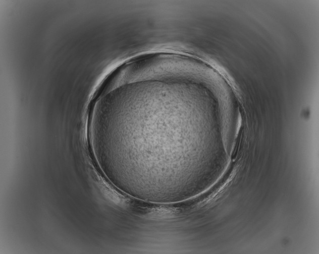 X0000095941224200801181353