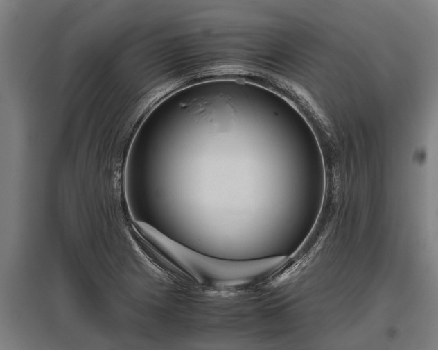 X0000095941225200801181353