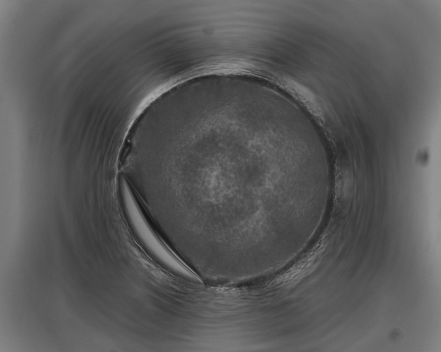 X0000095941226200801181353