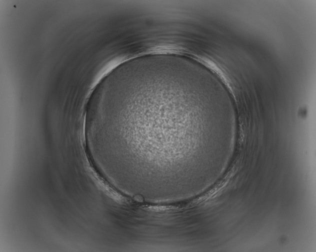 X0000095941227200801181353