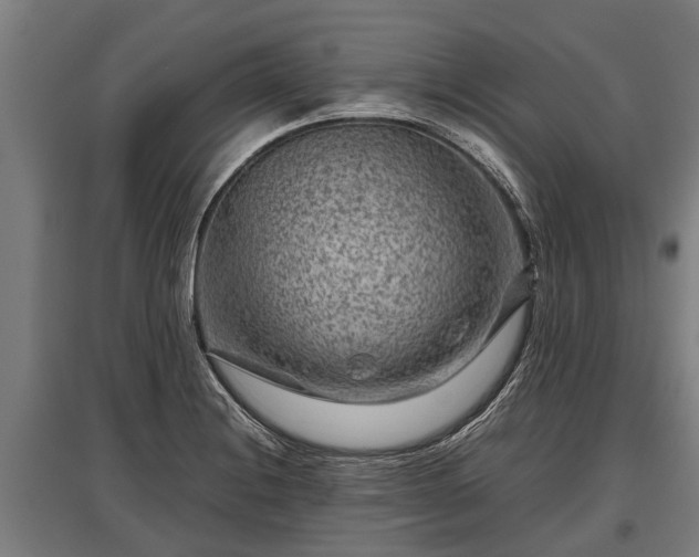 X0000095941228200801181353