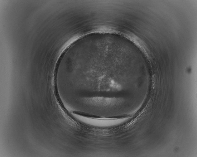 X0000095941229200801181353