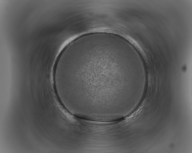 X0000095941230200801181353