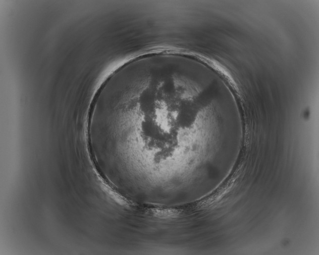 X0000095941231200801181353