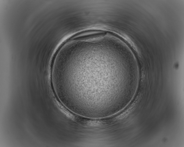 X0000095941232200801181353