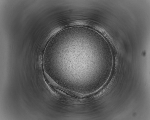 X0000095941233200801181353