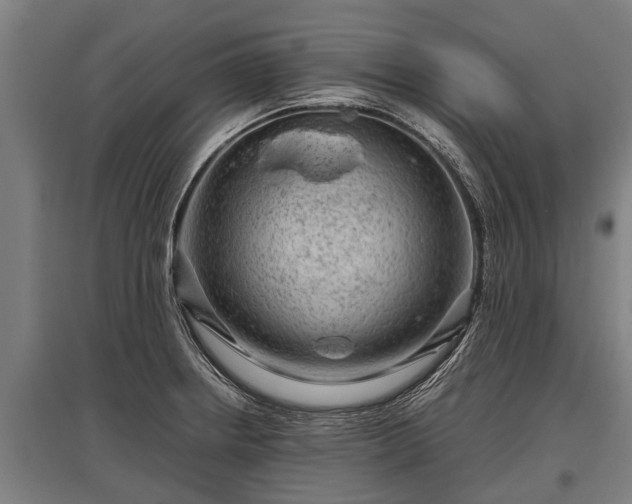 X0000095941234200801181353