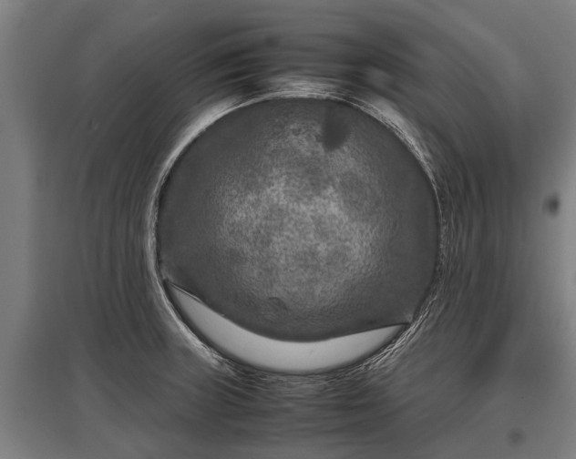X0000095941235200801181353