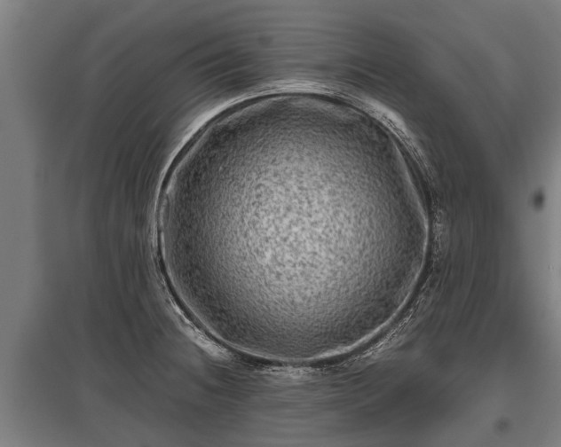 X0000095941236200801181354