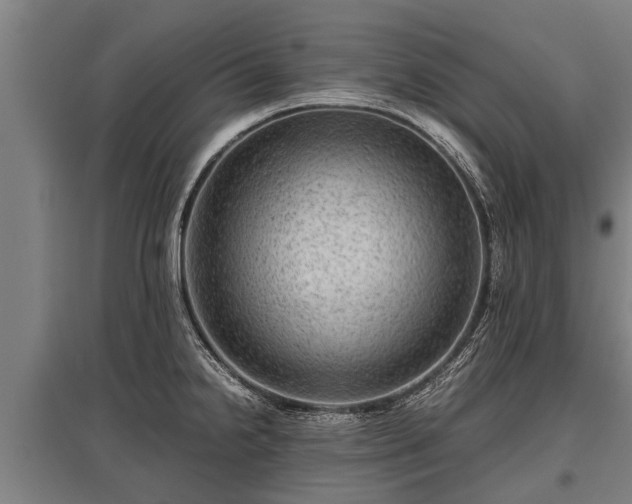 X0000095941238200801181354