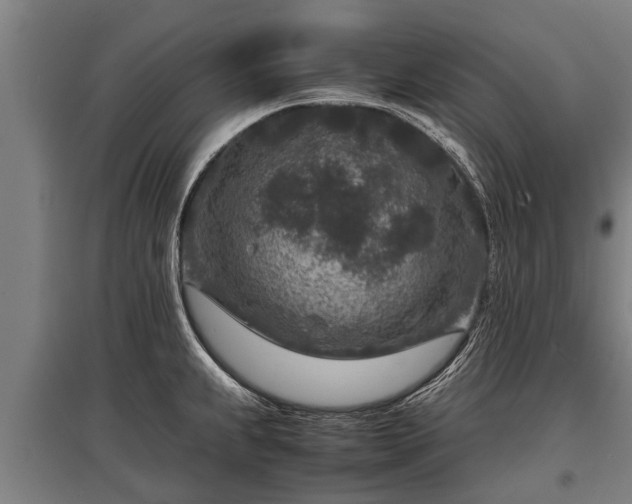 X0000095941239200801181354