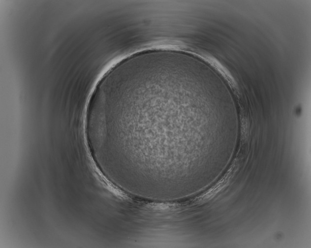 X0000095941240200801181354