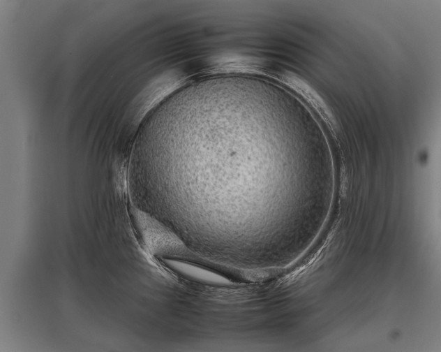 X0000095941241200801181354