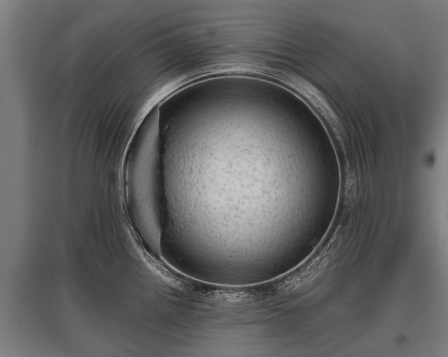 X0000095941242200801181354