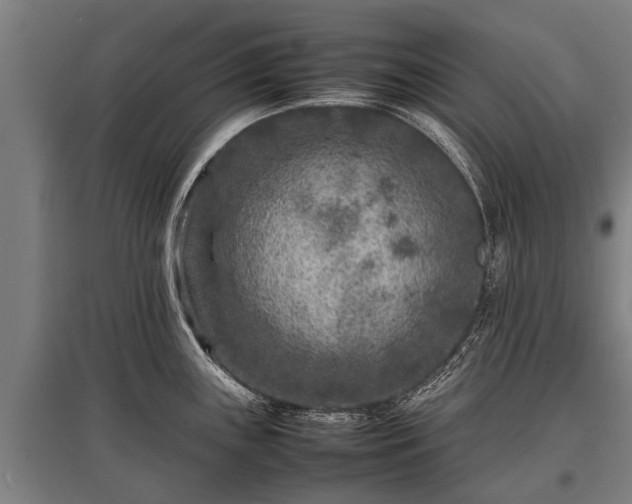 X0000095941243200801181354