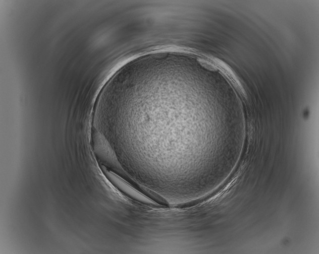 X0000095941244200801181354