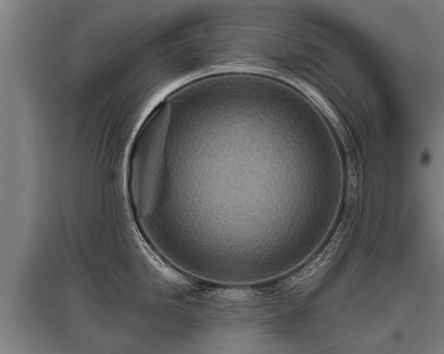 X0000095941246200801181354