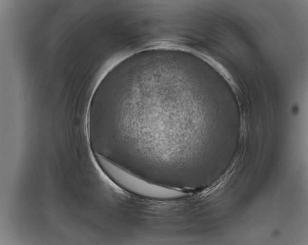 X0000095941247200801181354