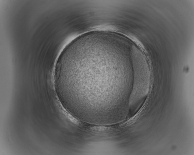 X0000095941248200801181354