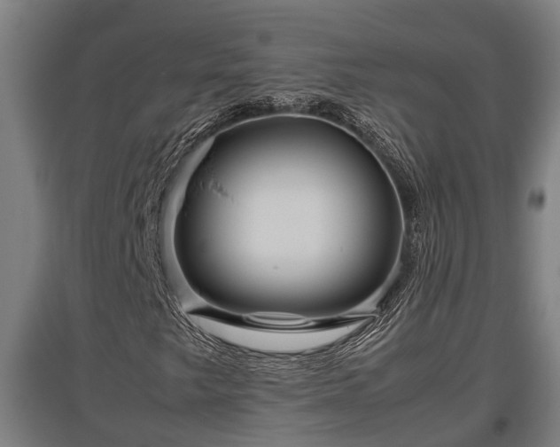 X0000095941249200801181353