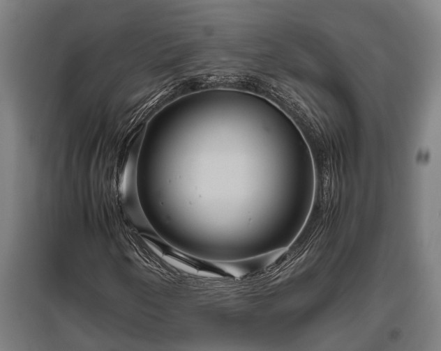 X0000095941250200801181353