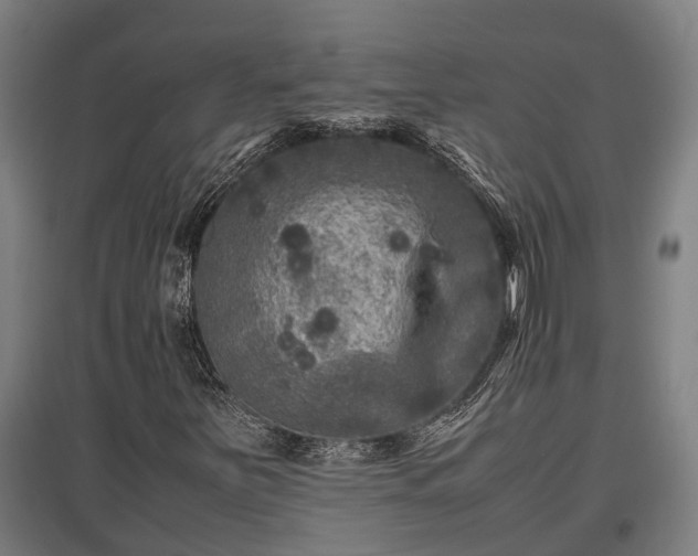 X0000095941251200801181353