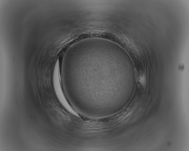 X0000095941252200801181353