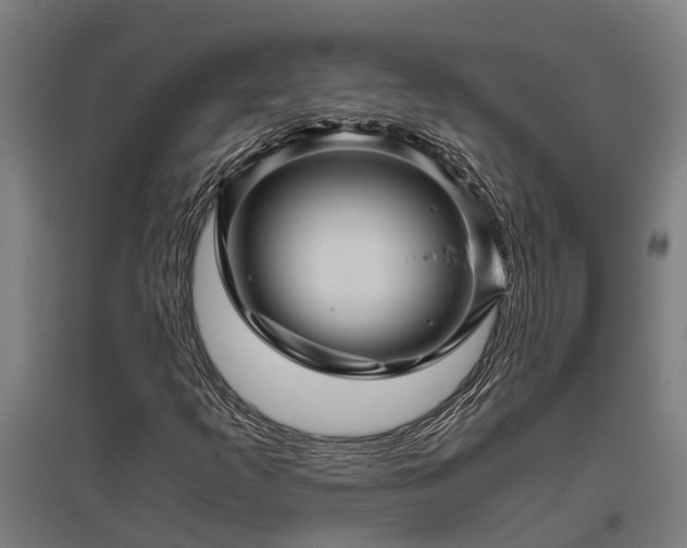 X0000095941253200801181353