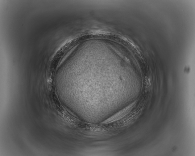 X0000095941254200801181353