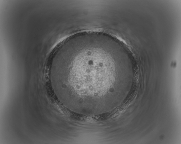 X0000095941255200801181353