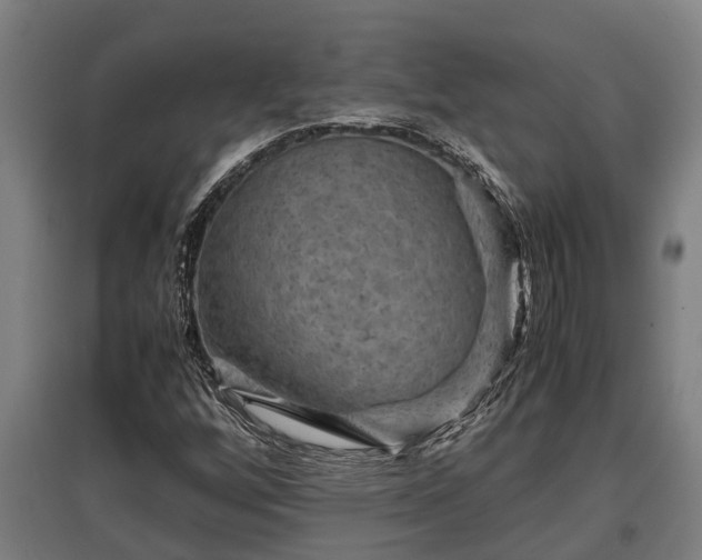X0000095941256200801181353