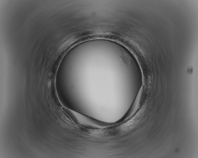 X0000095941257200801181353