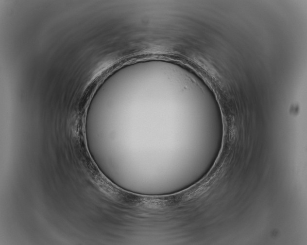 X0000095941258200801181353