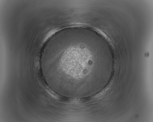 X0000095941259200801181353