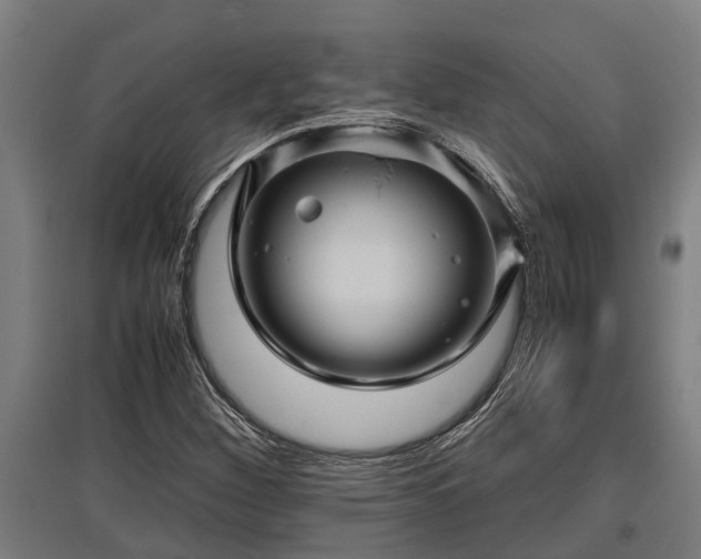 X0000095941260200801181353