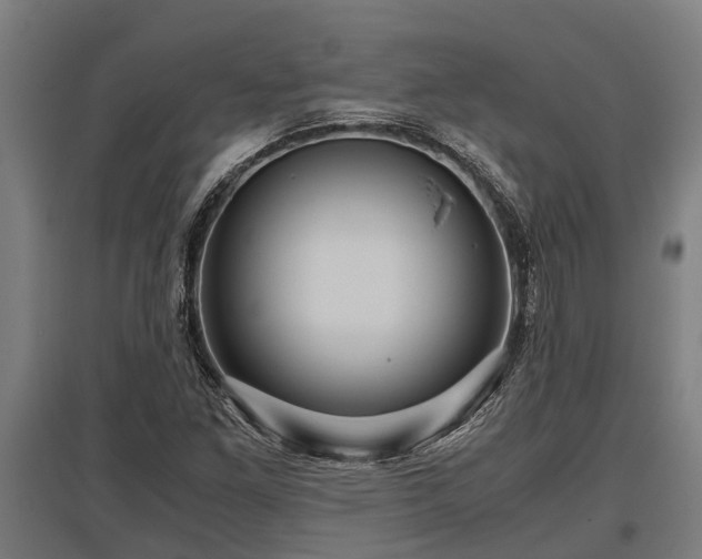 X0000095941261200801181353