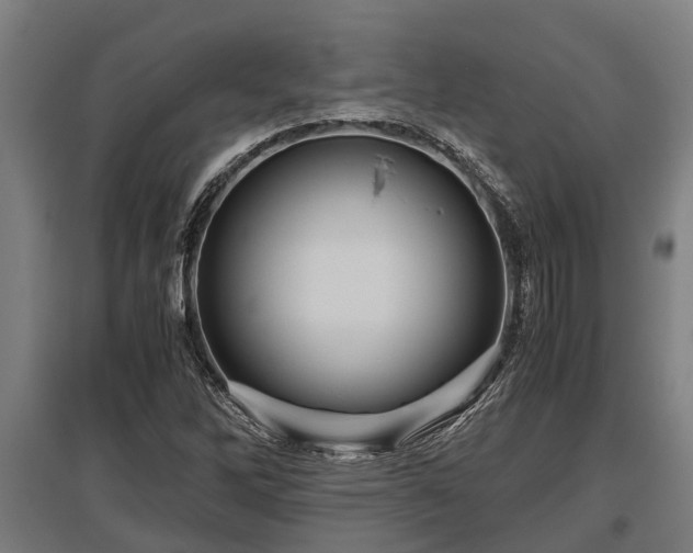 X0000095941262200801181353