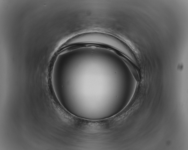X0000095941264200801181353